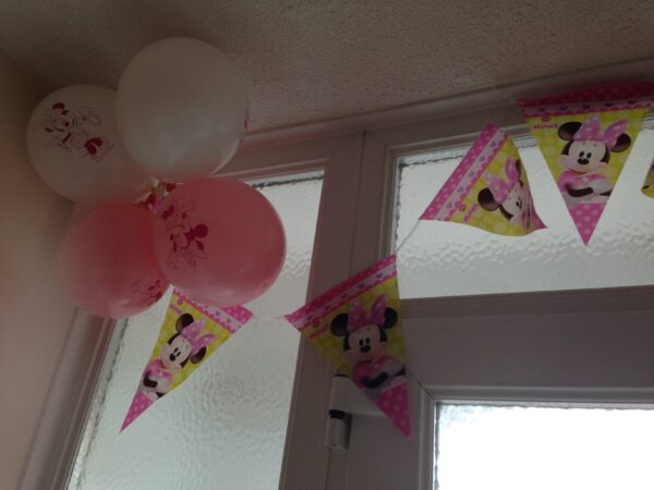 Mickie and Minnie Birthday party