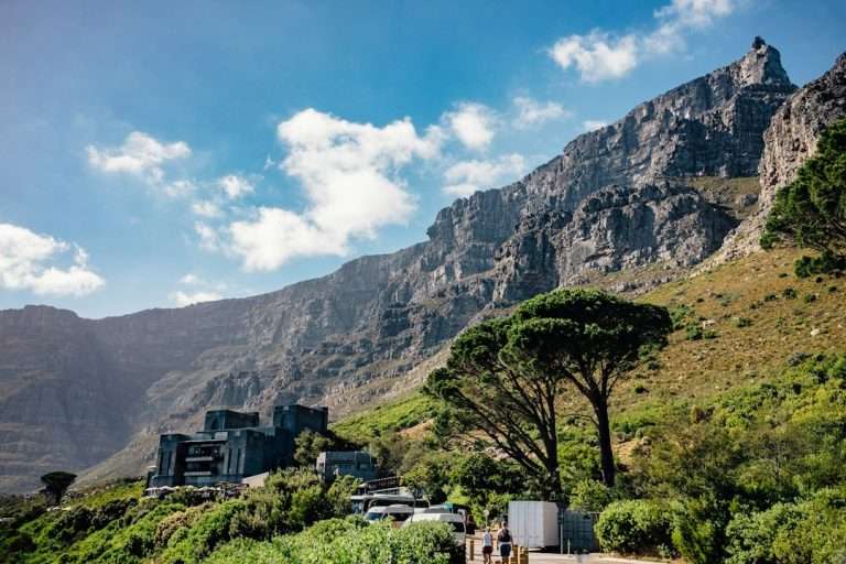 White van parked near green trees and a mountain